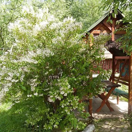 Villa Usadba Bigar